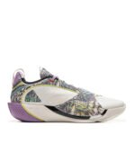 کتونی بسکتبال وید آل سیتی 13 اینکور Wade All City 13 Encore