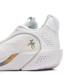 کتونی بسکتبال وید آل سیتی 13 اینکور Wade All City 13 Encore - Image 3