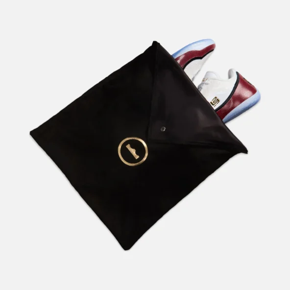 کتونی بسکتبال لبرون 23 Nike LeBron XXiii - Image 3