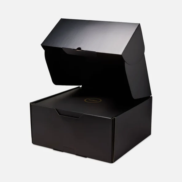 کتونی بسکتبال لبرون 23 Nike LeBron XXiii - Image 9