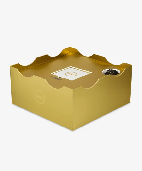 کتونی بسکتبال لبرون 23 Nike LeBron XXiii - Image 13