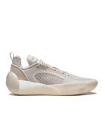 کتونی بسکتبال وید آل سیتی 12 اینکور Wade All City 12 Encore