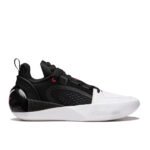 کتونی بسکتبال وید آل سیتی 12 اینکور Wade All City 12 Encore