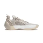 کتونی بسکتبال وید آل سیتی 12 اینکور Wade All City 12 Encore - Image 3