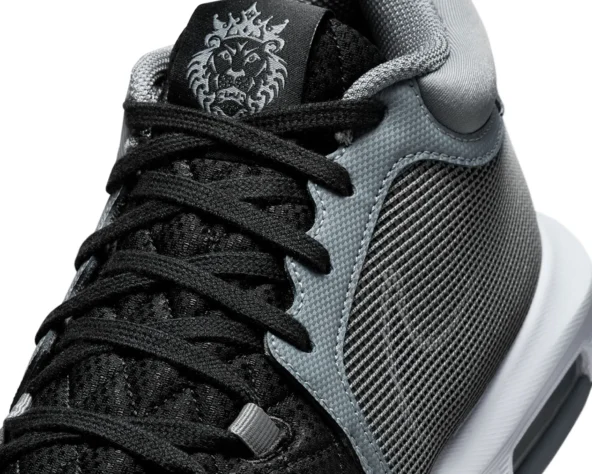 کتونی بسکتبال لبران فیتنس 8 Lebron Witness - Image 7