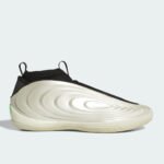 کتونی بسکتبال هاردن ولوم 10 Harden Vol