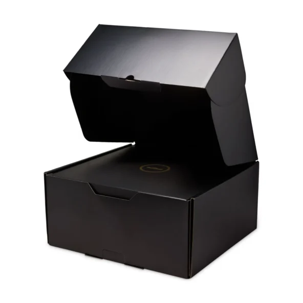 کتونی بسکتبال لبرون 23 Nike LeBron - Image 10