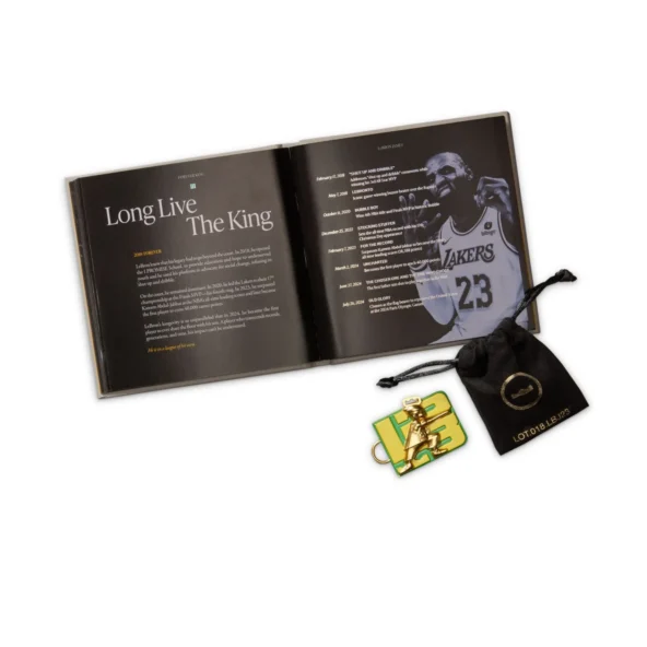 کتونی بسکتبال لبرون 23 Nike LeBron - Image 15