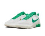 کتونی بسکتبال لبرون فیتنس 9 LeBron Witness - Image 7