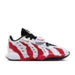 کتونی بسکتبال لبرون 21 - LeBron XXI 'Prime 96's