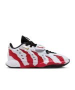 کتونی بسکتبال لبرون 21 - LeBron XXI 'Prime 96's