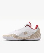 LeBron XXIII | کتونی بسکتبال نایک لبرون XXIII «لبرون» - تصویر 3