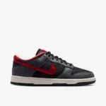 Kobe Dunk Low Protro | کتونی بسکتبال نایک کوبی Dunk لو پروترو «بلک اند هات پانچ» - تصویر 1